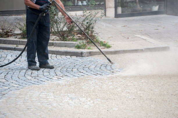 Best Animal Enclosure Cleaning  in Brookings, SD